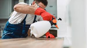 Best Real Estate Pest Inspections  in Northampton, PA